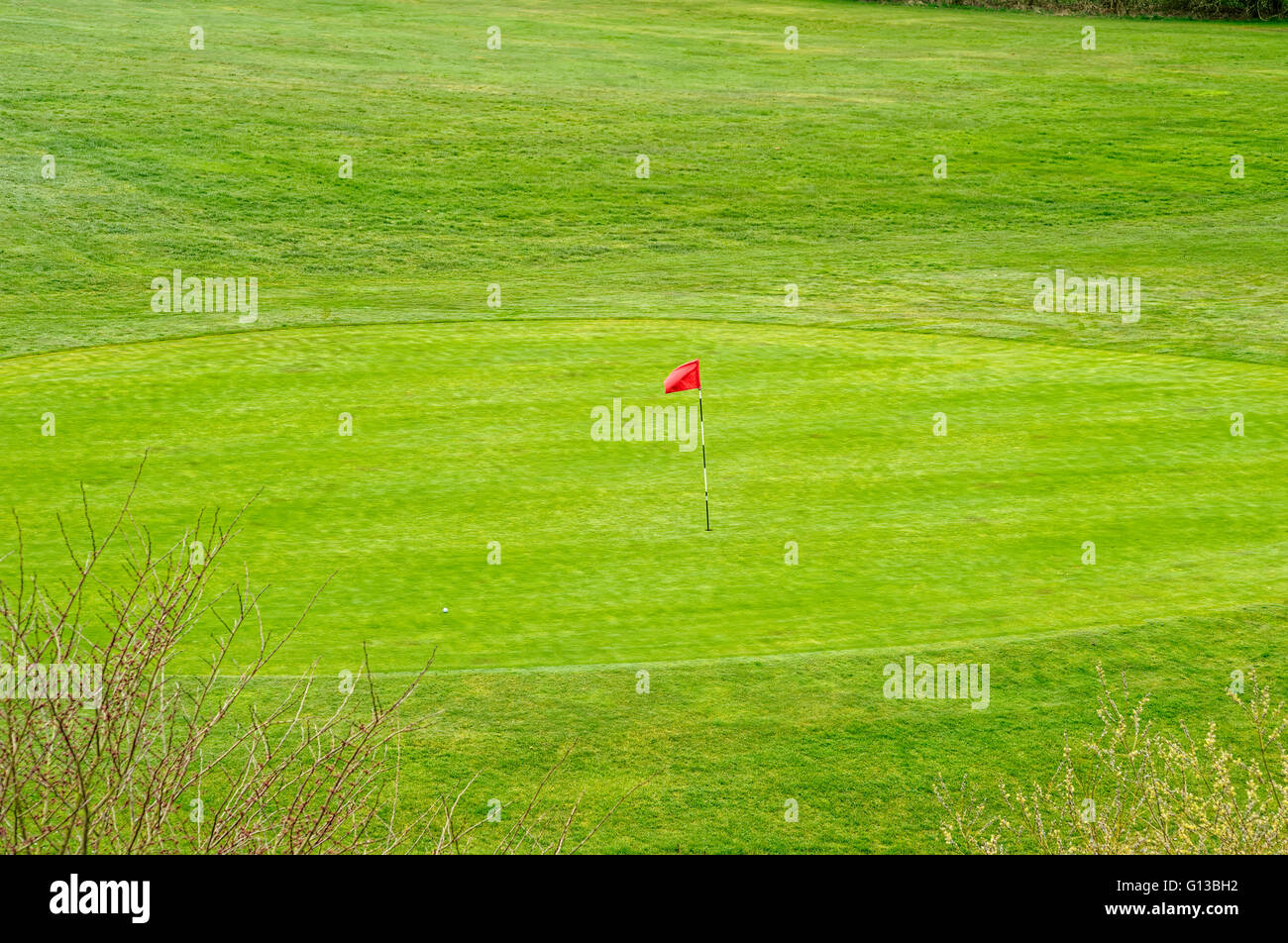 Verde sul campo da golf Foto Stock