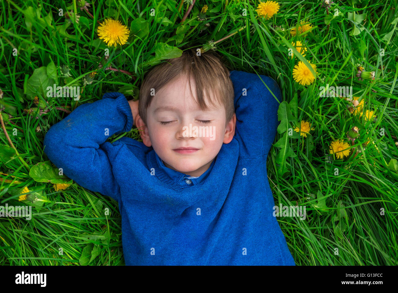 Adorabile bambino fantasticando in un campo di fiori Foto Stock