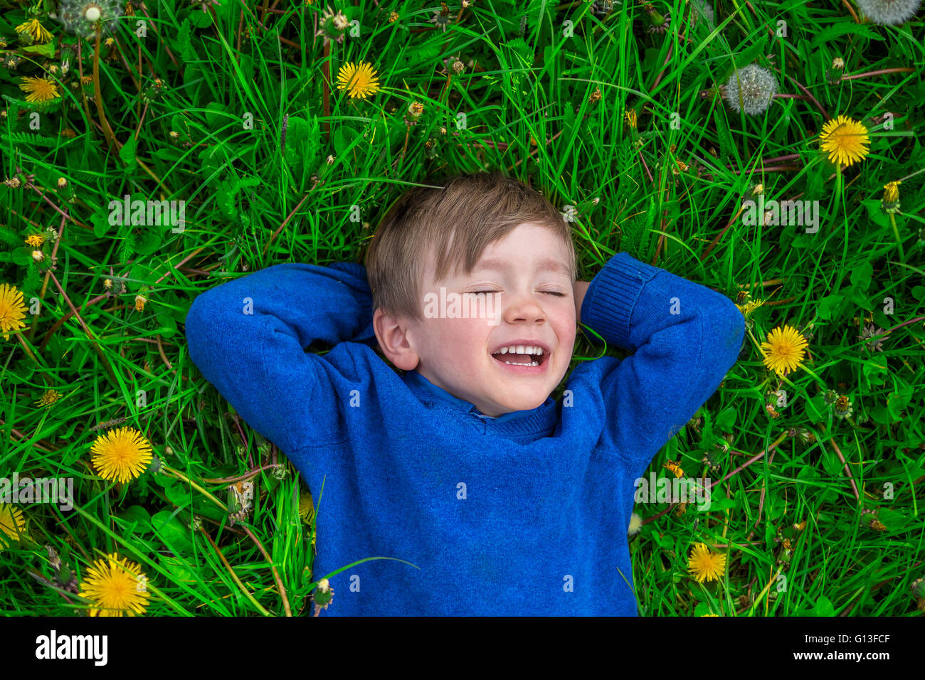 Carino boy fantasticando in un campo di fiori Foto Stock