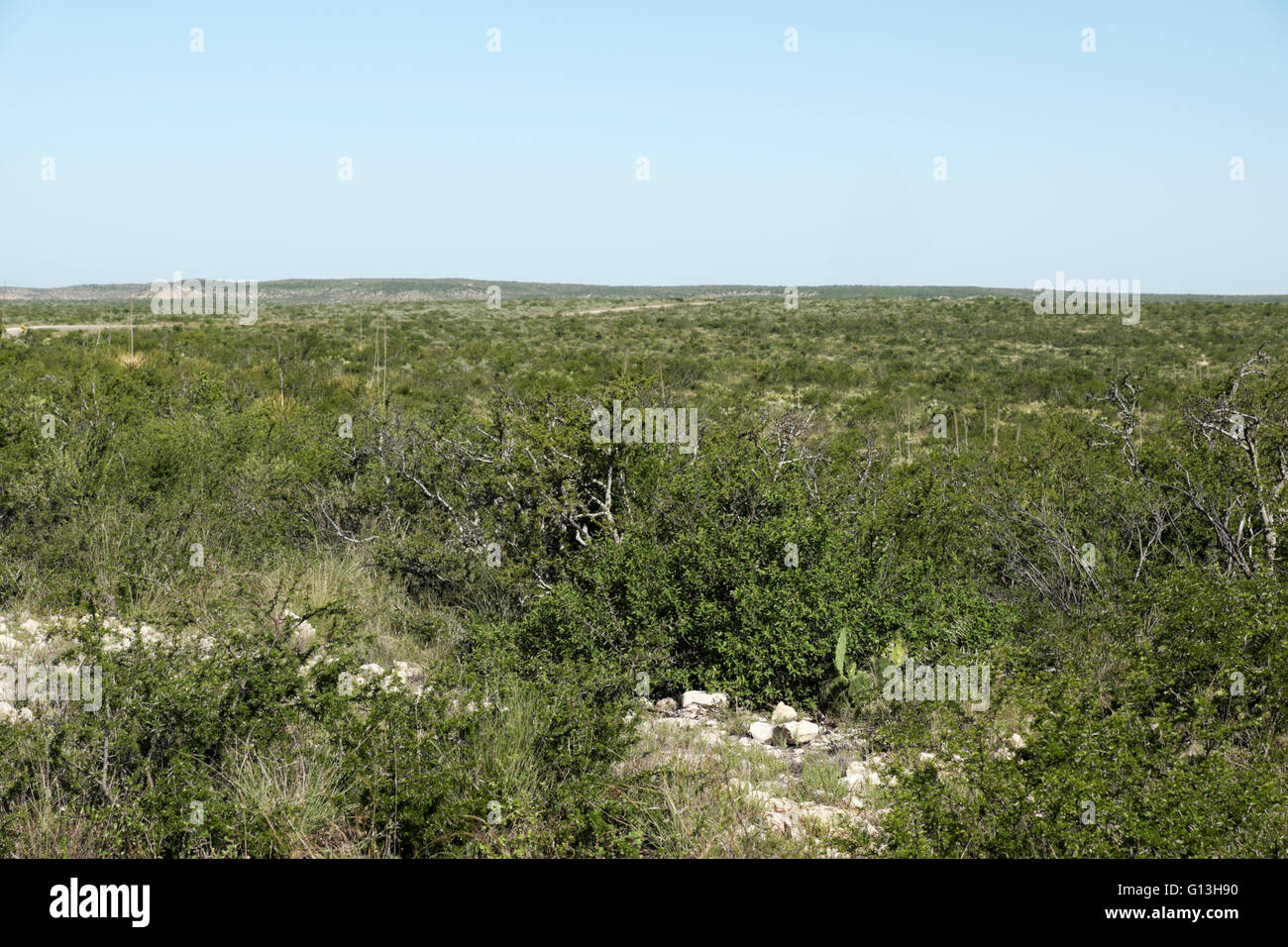 Il deserto piano dell'altopiano di Edwards nel Lago la Amistad Recreation Area nei pressi del Rio, Texas. Foto Stock