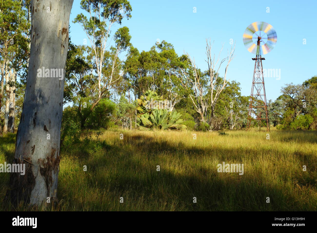 Un multi-colore di mulino a vento gira in un tranquillo scenario rurale vicino a Eidsvold, Queensland, Australia. Foto Stock