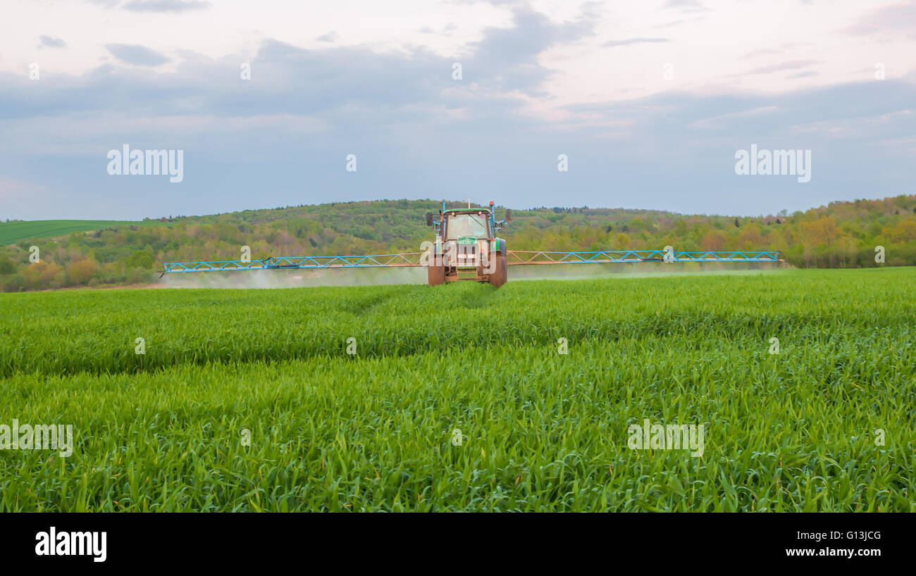Trattore in campo agricolo durante il trattamento dei pesticidi Foto Stock