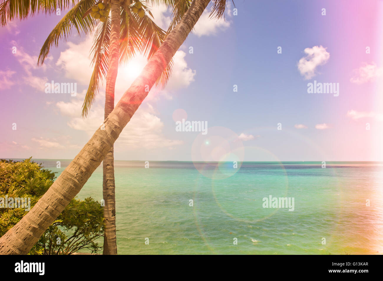 Fotografia retrò stile di palme tropicali e oceano Foto Stock