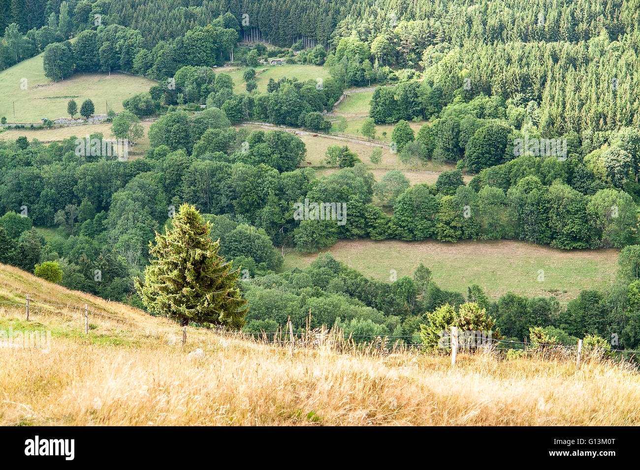 Paesaggio intorno i Vosgi, una catena montuosa in Alsazia, Francia Foto Stock