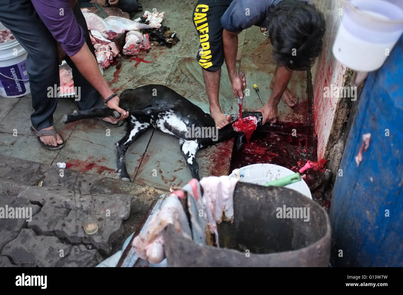 Macellai halal negozio in una delle baraccopoli di kurla, Mumbai, India Foto Stock