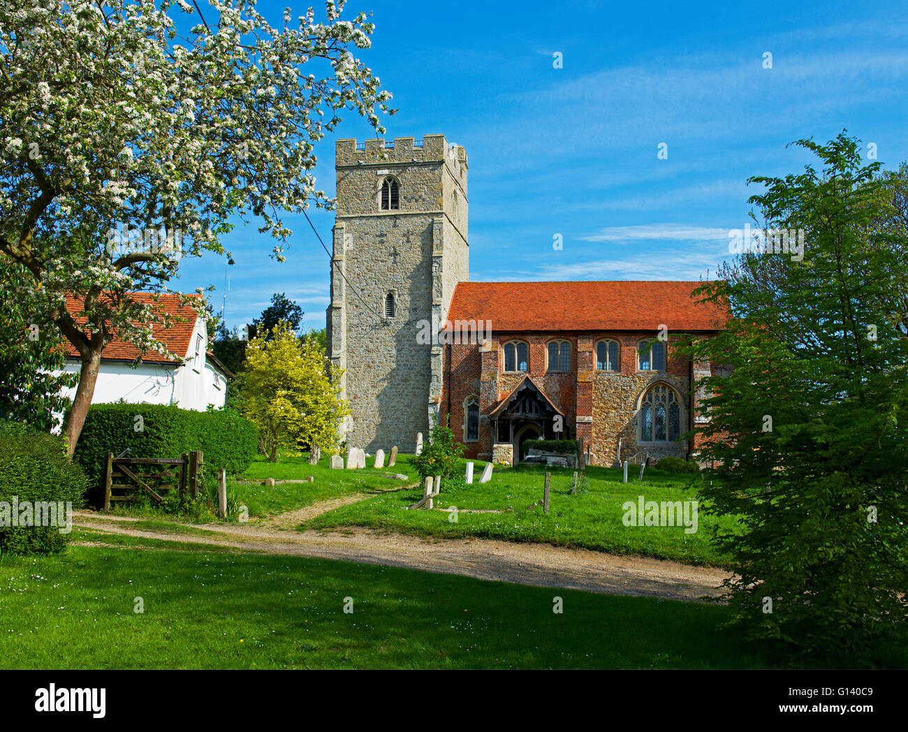 Chiesa di Santa Maria, Peldon, Essex, Inghilterra, Regno Unito Foto Stock