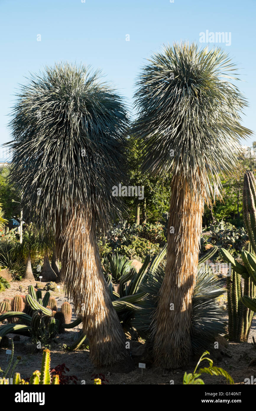 Parque de La Paloma, Benalmádena Costa, Málaga, Spagna Foto Stock