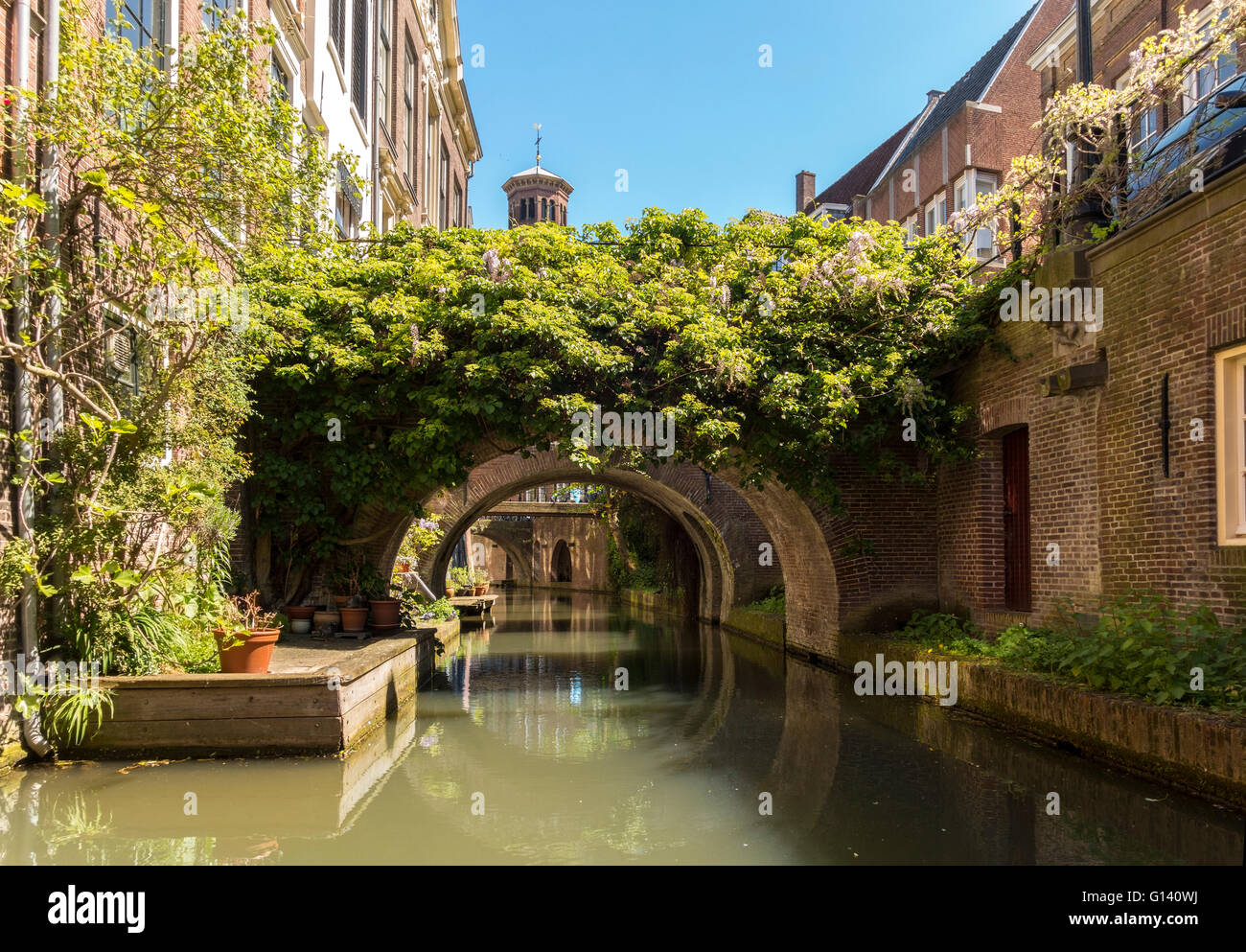 Stretto canale di Utrecht nei Paesi Bassi. Kromme Nieuwegracht con ponti di privato. Foto Stock