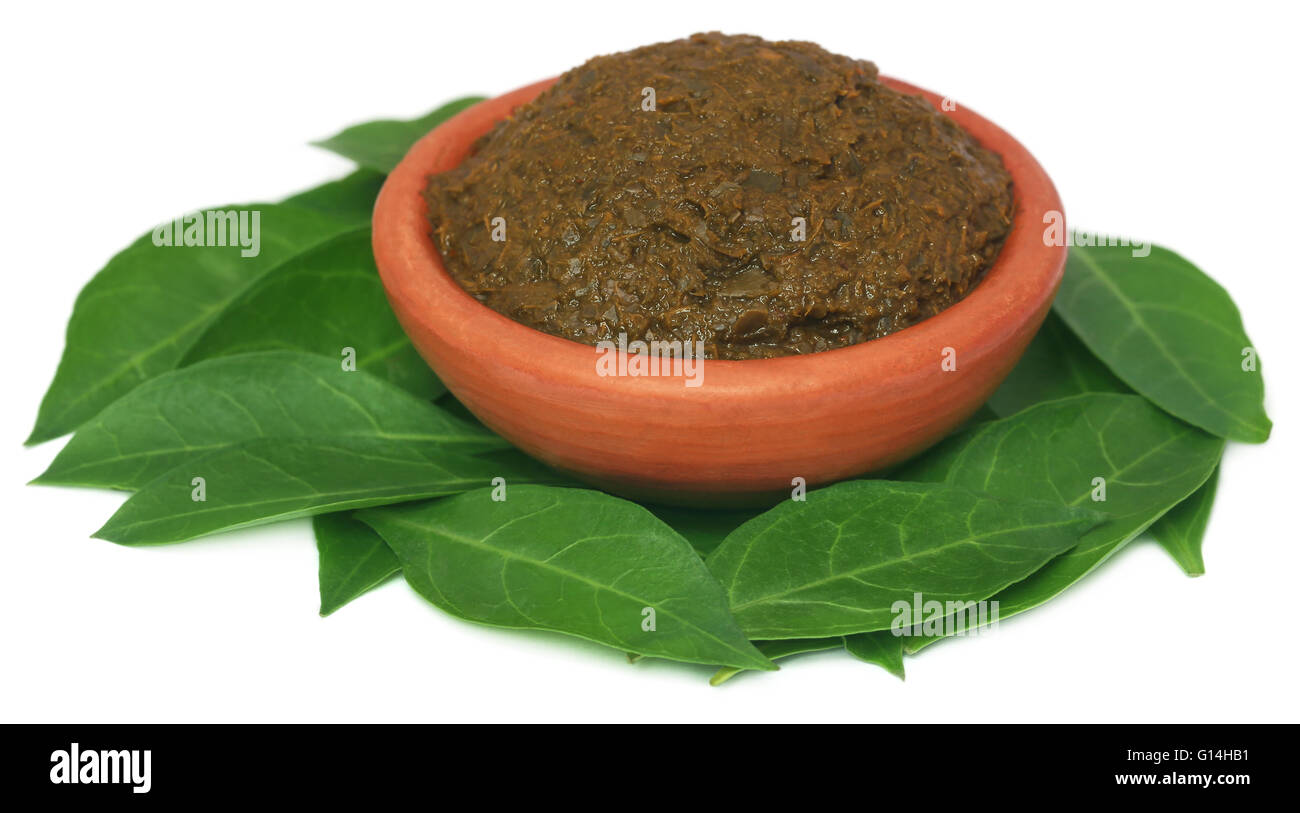 Ayurvedic di foglie di hennè con pasta in ceramica Foto Stock