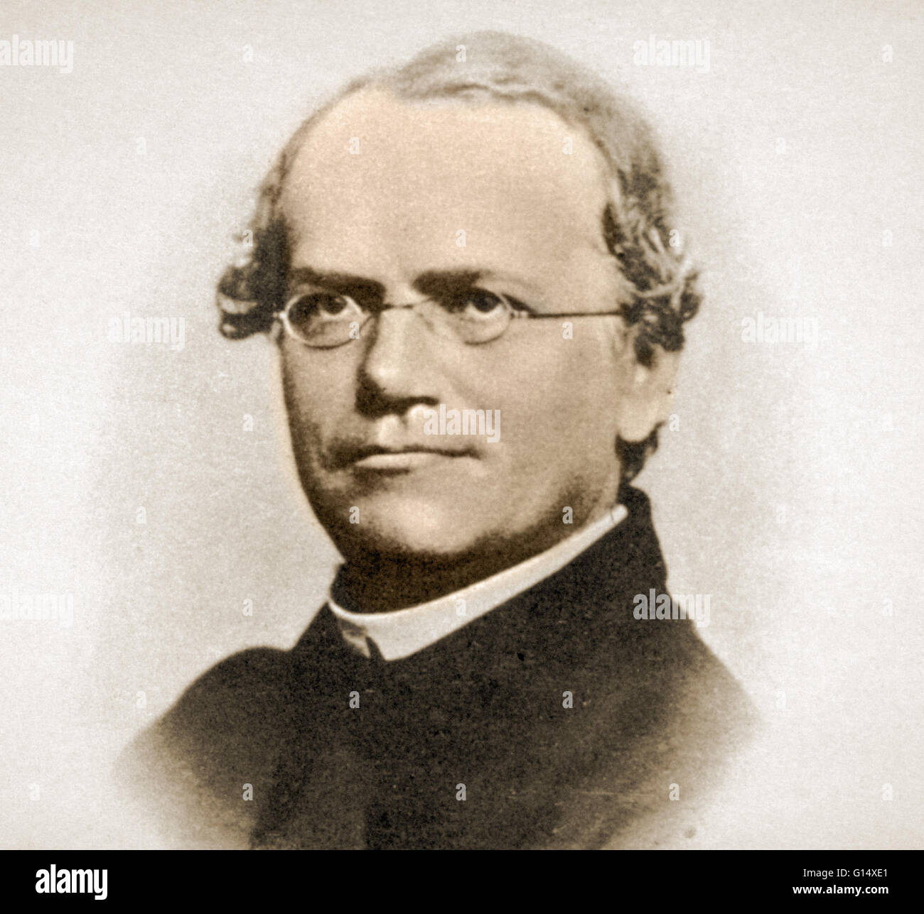 Johann Gregor Mendel (Luglio 20, 1822 - 6 gennaio 1884) era un scienziato austriaco e il frate agostiniano che ha guadagnato fama postuma come il fondatore della nuova scienza della genetica. Mendel condotto esperimenti in un monastero nel 1860 il giardino con piselli, wo Foto Stock