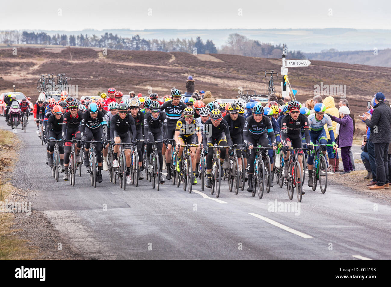 Tour de Yorkshire 2016, il peloton o pacco principale di piloti racing fino Blakey Ridge, al di sopra di Farndale, North York Moors National Par Foto Stock