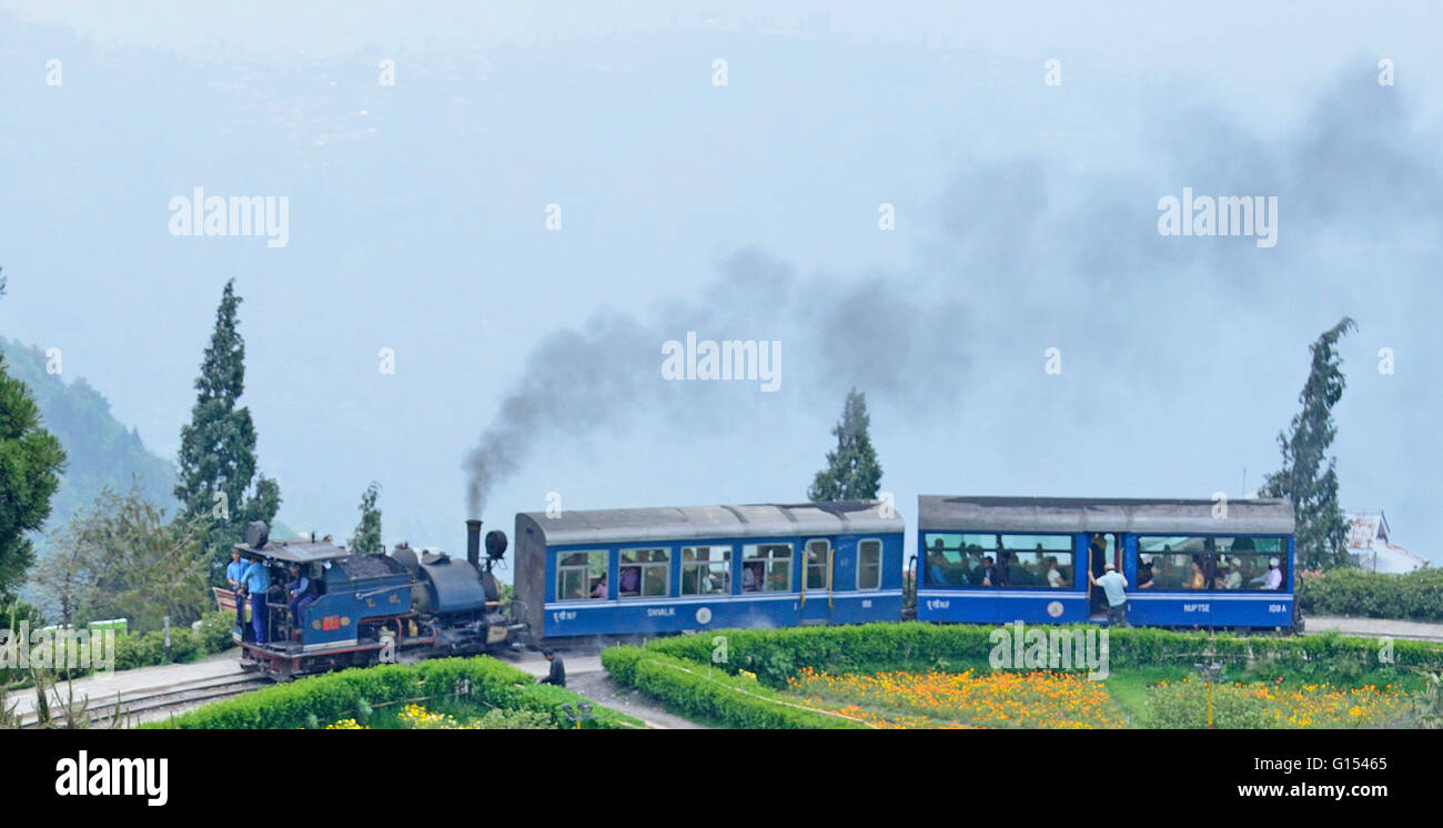 Locomotiva a vapore di bolina Darjeeling Himalayan Railway a Batasia Loop, Darjeeling, dell'Himalaya orientale, Bengala Occidentale Foto Stock