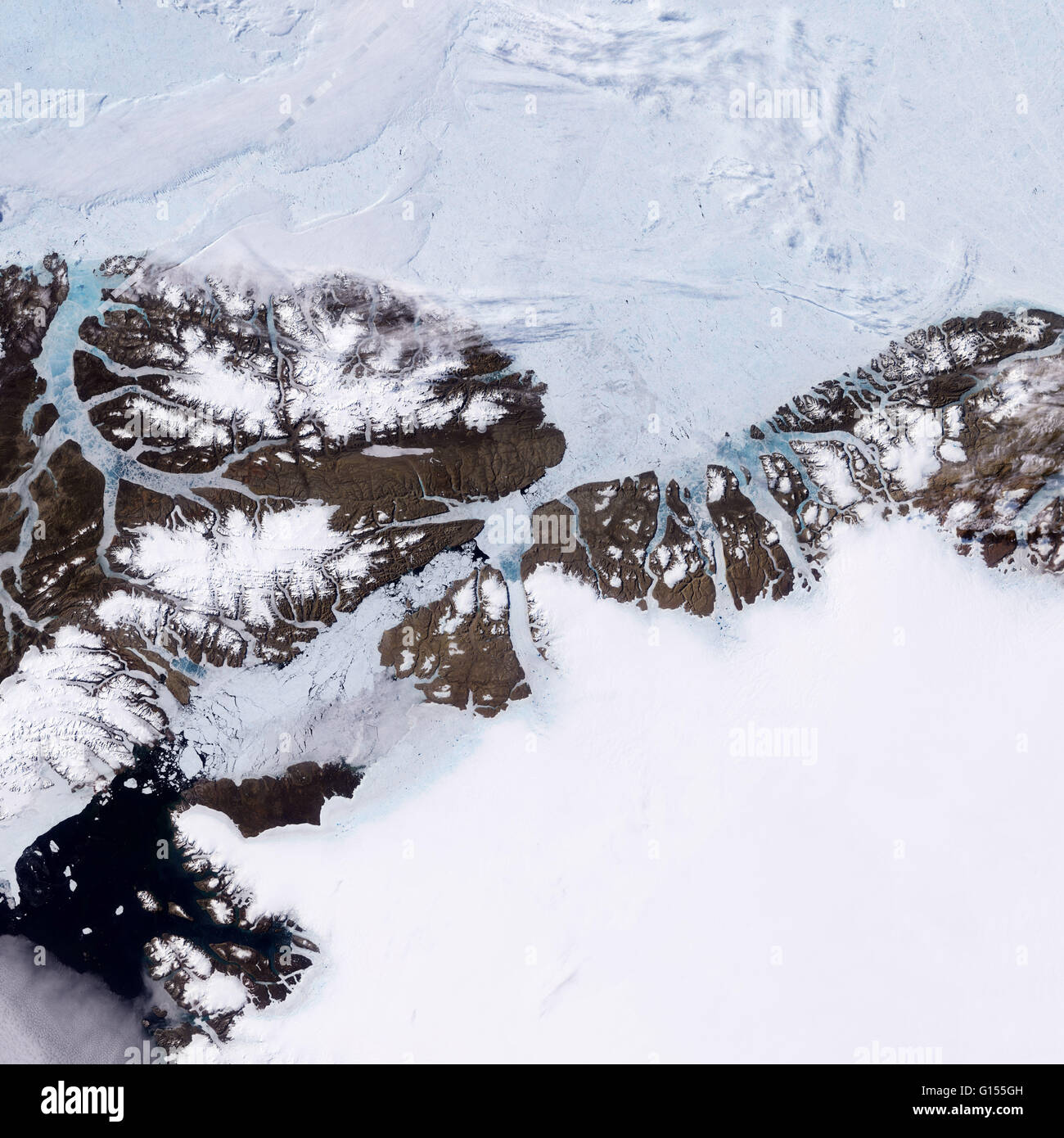 In Groenlandia, decine di migliaia di anni di nevicata si sono insediati e solidificato in una massiccia lastra di ghiaccio. Ogni estate, neve ritiri brevemente a basse altitudini e una stretta striscia di costa rocciosa emerge. Come si assottiglia e fratture, mare di ghiaccio che il pack Foto Stock