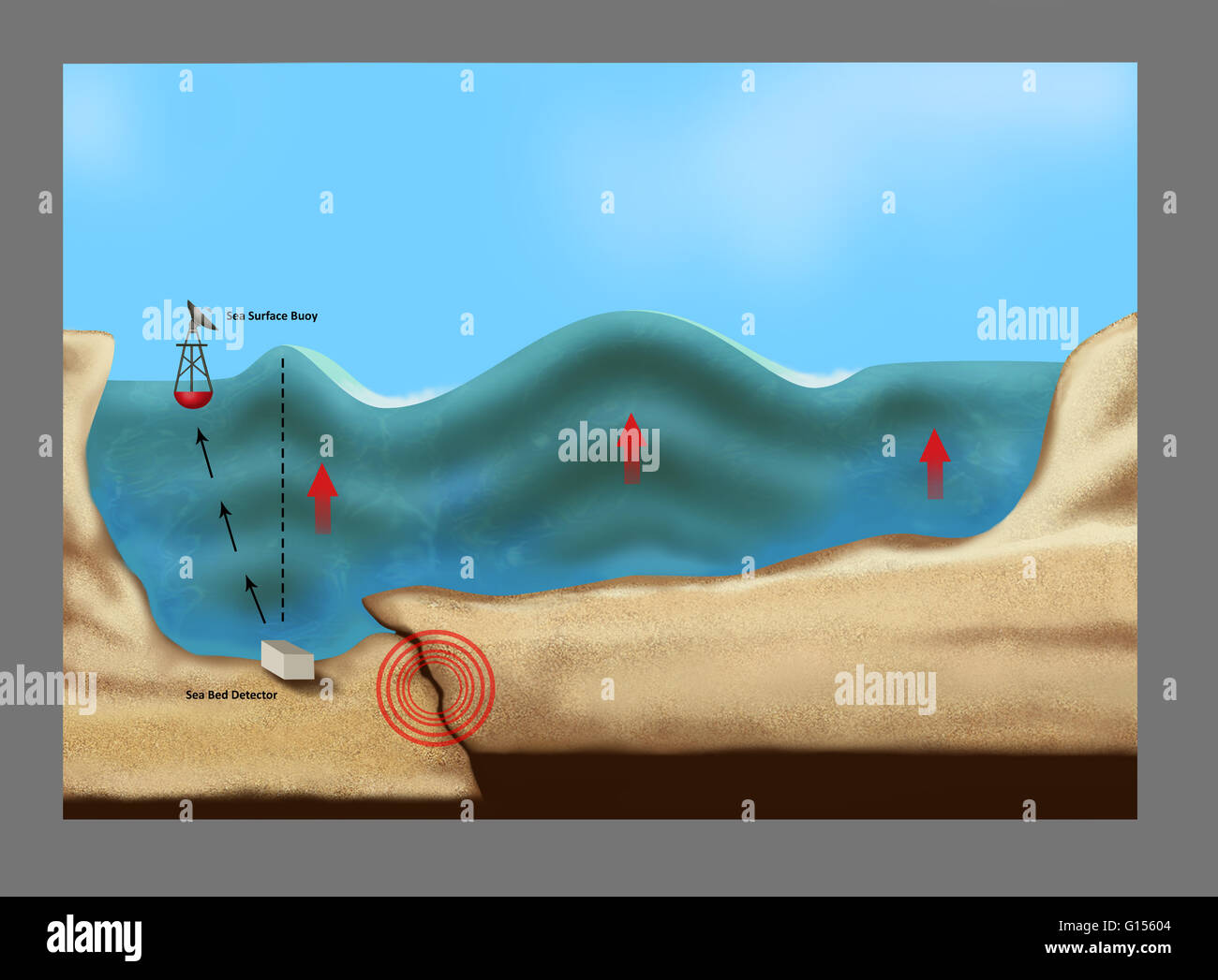 Illustrazione che delinea una formatura dello tsunami, causato dalla collisione del fondale durante un terremoto cerchiata in rosso. Attrezzatura utilizzata per rilevare un tsunami di formatura comprende un letto del mare il rilevatore sul fondo a sinistra e un mare di boa di superficie sul lato superiore sinistro. Le frecce rosse Foto Stock