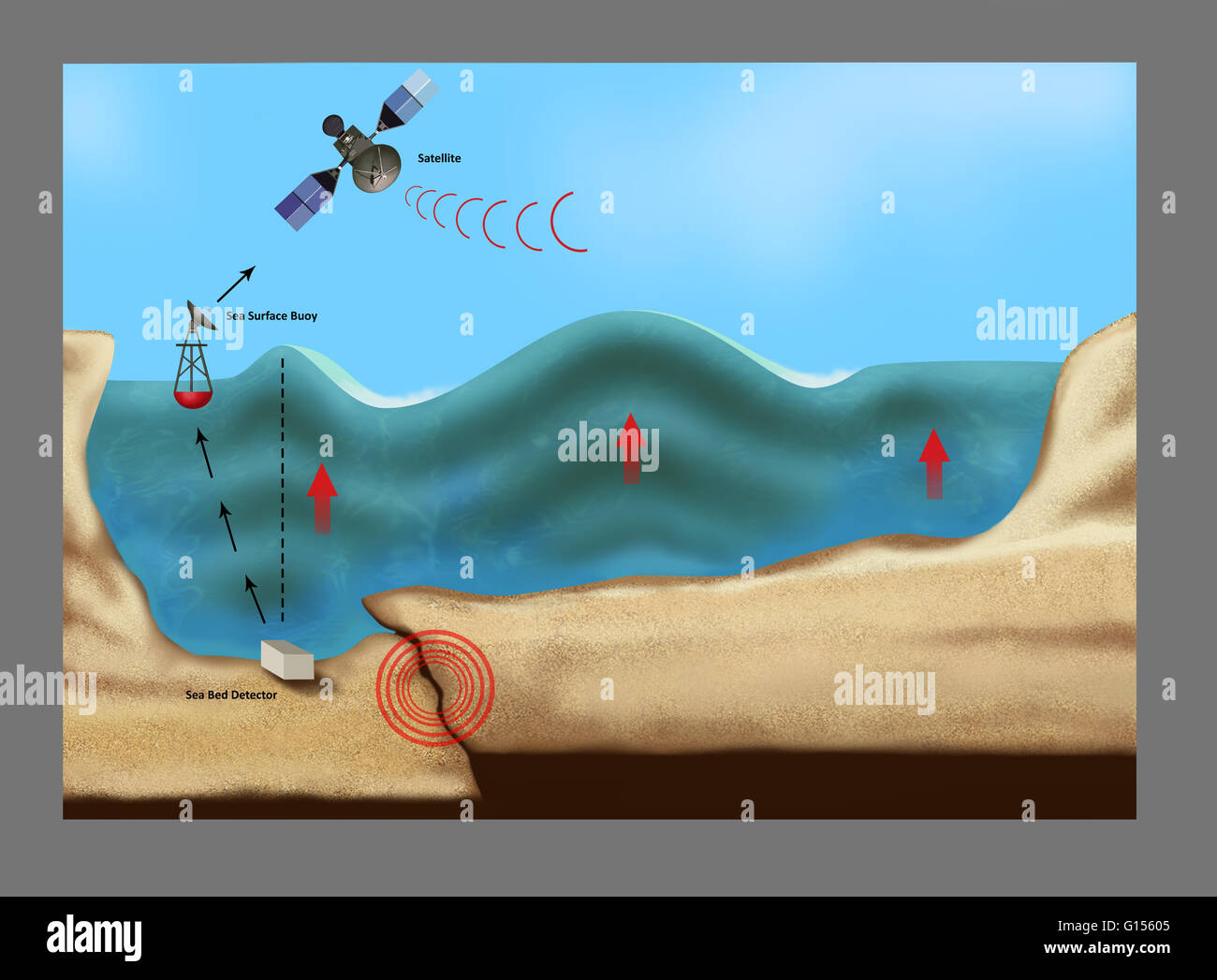 Illustrazione che delinea una formatura dello tsunami, causato dalla collisione del fondale durante un terremoto cerchiata in rosso. Attrezzatura utilizzata per rilevare un tsunami di formatura comprende un letto del mare il rilevatore sul lato inferiore sinistro, una superficie del mare boa sulla parte superiore sinistra e un satellite Foto Stock