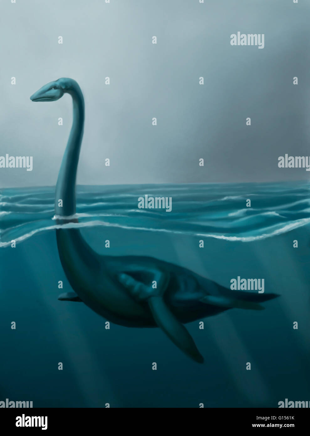 Illustrazione del mostro di Loch Ness nuoto. Avvistamenti del mostro si sono verificati almeno a partire dal XV secolo, con storie precedenti risalente al VI secolo, ma le prove scientifiche per la sua esistenza è carente. Gli scettici hanno suggerito che la Foto Stock
