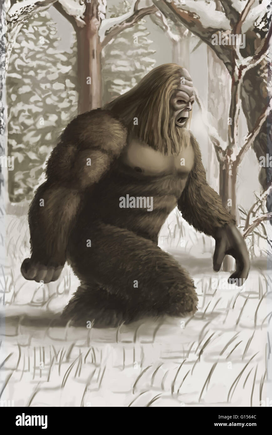 Illustrazione di un Bigfoot o sasquatch, un ape-come una creatura cryptid che presumibilmente abita il Pacific-Northwest. Foto Stock