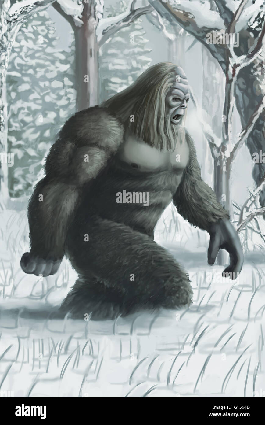 Illustrazione di un Bigfoot o sasquatch, un ape-come una creatura cryptid che presumibilmente abita il Pacific-Northwest. Foto Stock