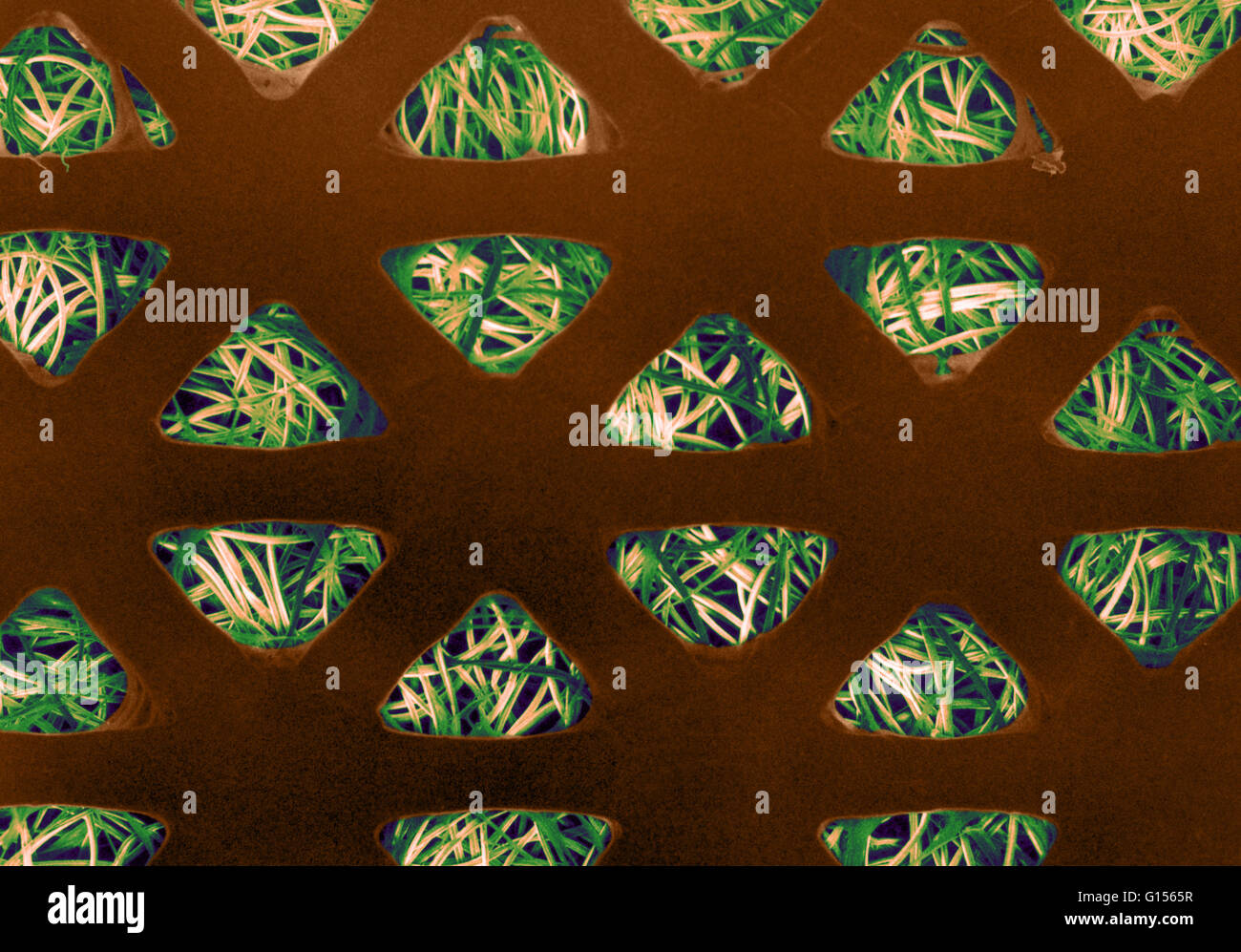 Colore esaltato micrografia elettronica a scansione di una banda di aiuto il tampone assorbente. La monotona, lo strato di colore arancione con molti fori triangolari è il non-film assorbente che impedisce che il pad di attaccarsi ad una ferita. Il contorto, filo simile ai filamenti visto attraverso la Foto Stock
