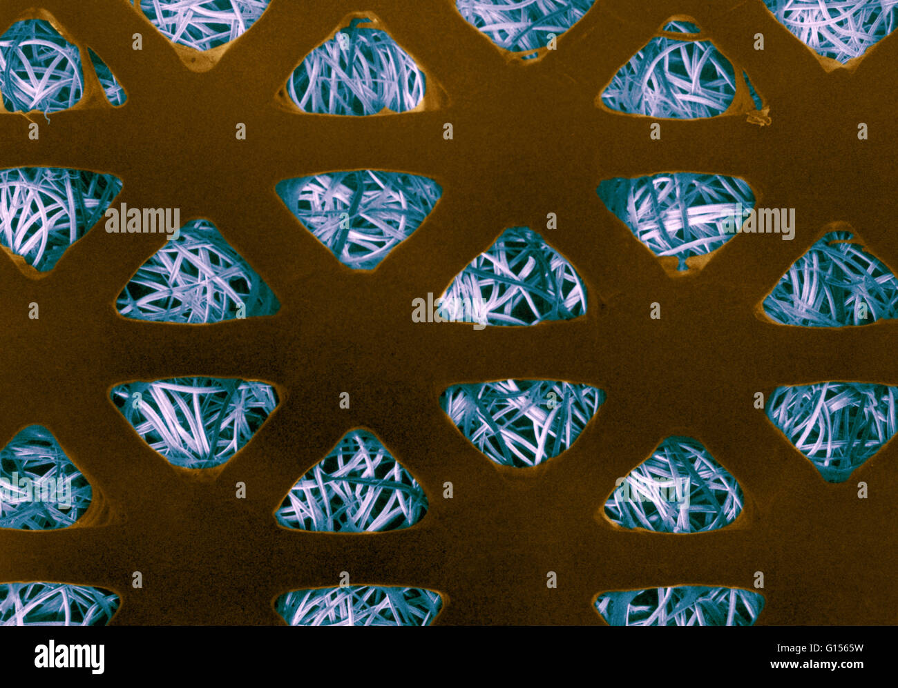 Colore esaltato micrografia elettronica a scansione di una banda di aiuto il tampone assorbente. La monotona, lo strato di colore arancione con molti fori triangolari è il non-film assorbente che impedisce che il pad di attaccarsi ad una ferita. Il contorto, filo simile ai filamenti visto attraverso la Foto Stock