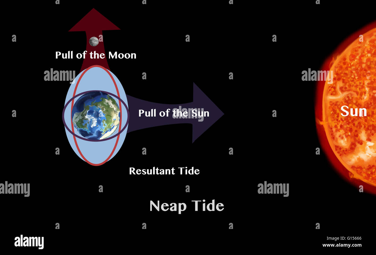 Le maree, la salita e la discesa del livello del mare, sono causati dalle forze di gravità esercitata da la luna e il sole e la rotazione della Terra. La luna è il più grande influenza sulla Terra delle maree. Quando il sole, la luna e la terra sono allineati (al momento della Foto Stock