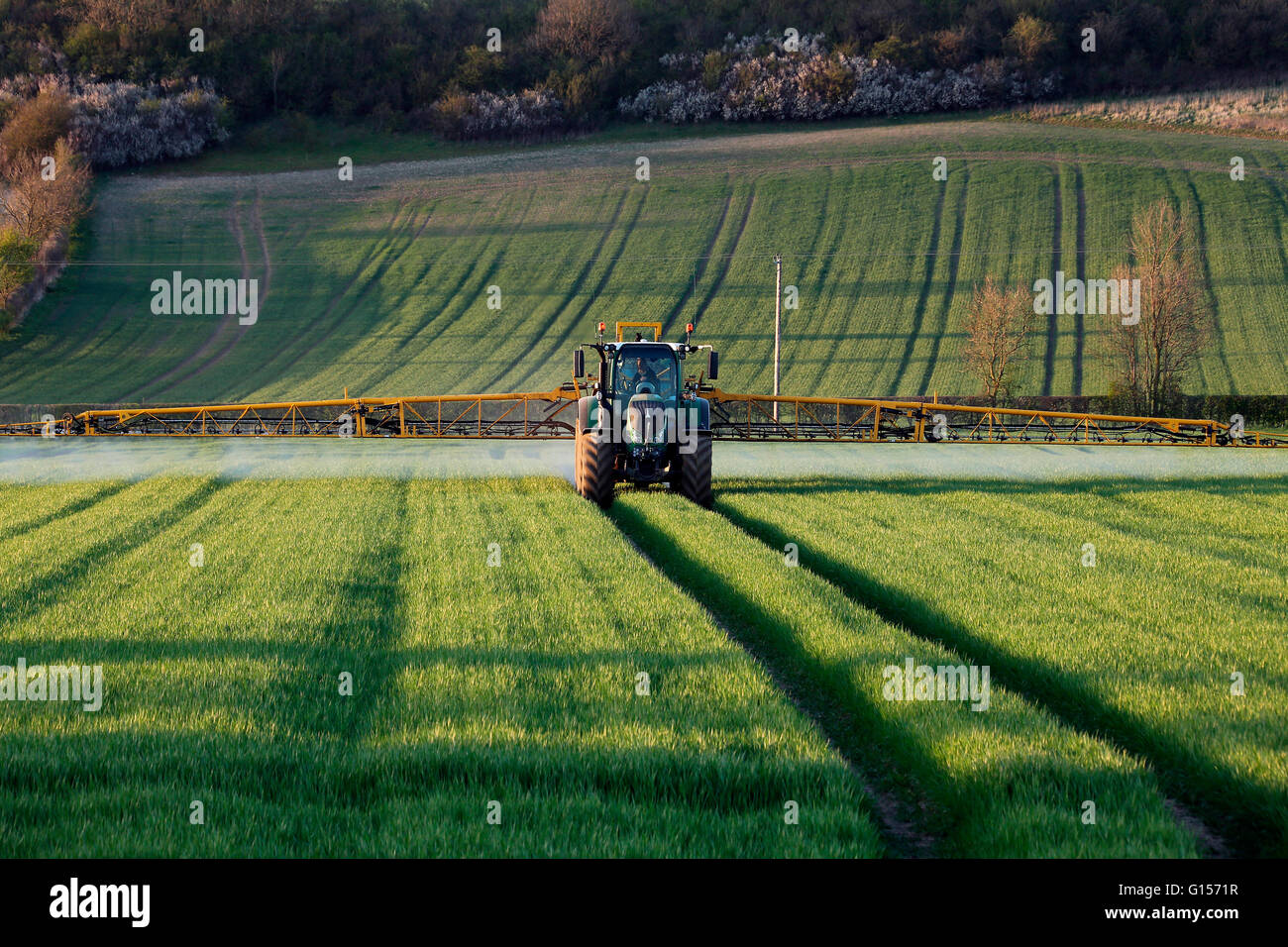 Agricoltura - un agricoltore la spruzzatura di fertilizzante su sue colture - North Yorkshire - Inghilterra. Foto Stock