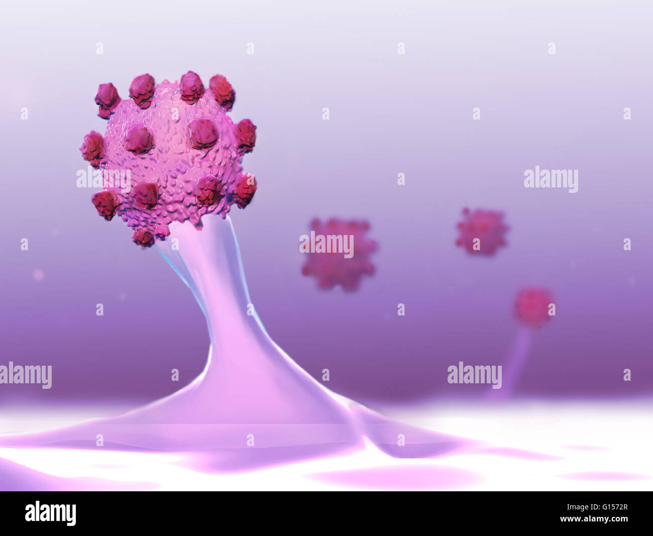 Germogliando HIV. Illustrazione di computer di una infezione da HIV (virus di immunodeficienza umana) delle particelle di uscire da un linfocita T (un tipo di globuli bianchi). L'HIV provoca AIDS (sindrome di deficienza immunitaria acquisita). Il virus consta di un RNA (acido ribonucleico) genoma, circondato Foto Stock