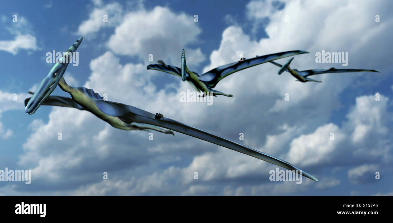 Illustrazione di Pterodactyls in volo. Pterodactyls sono della fine del Giurassico e il primo pteranodonte specie per essere nominato e identificato come un rettile volanti. Foto Stock