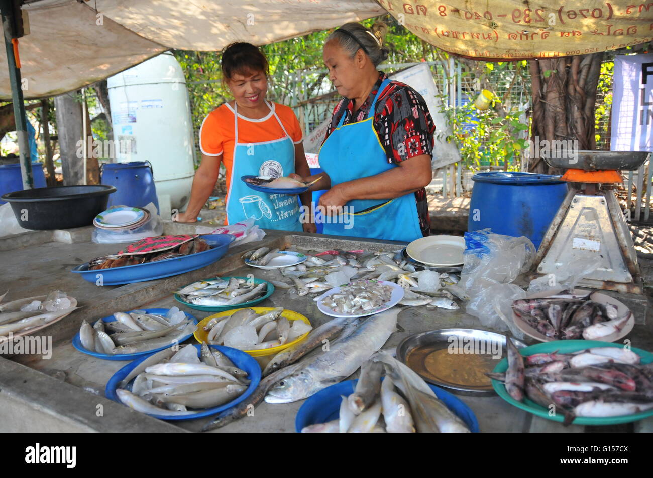 Due venditori di pesce signora nella loro stalla di pesce nella città di Phuket Thailandia Foto Stock