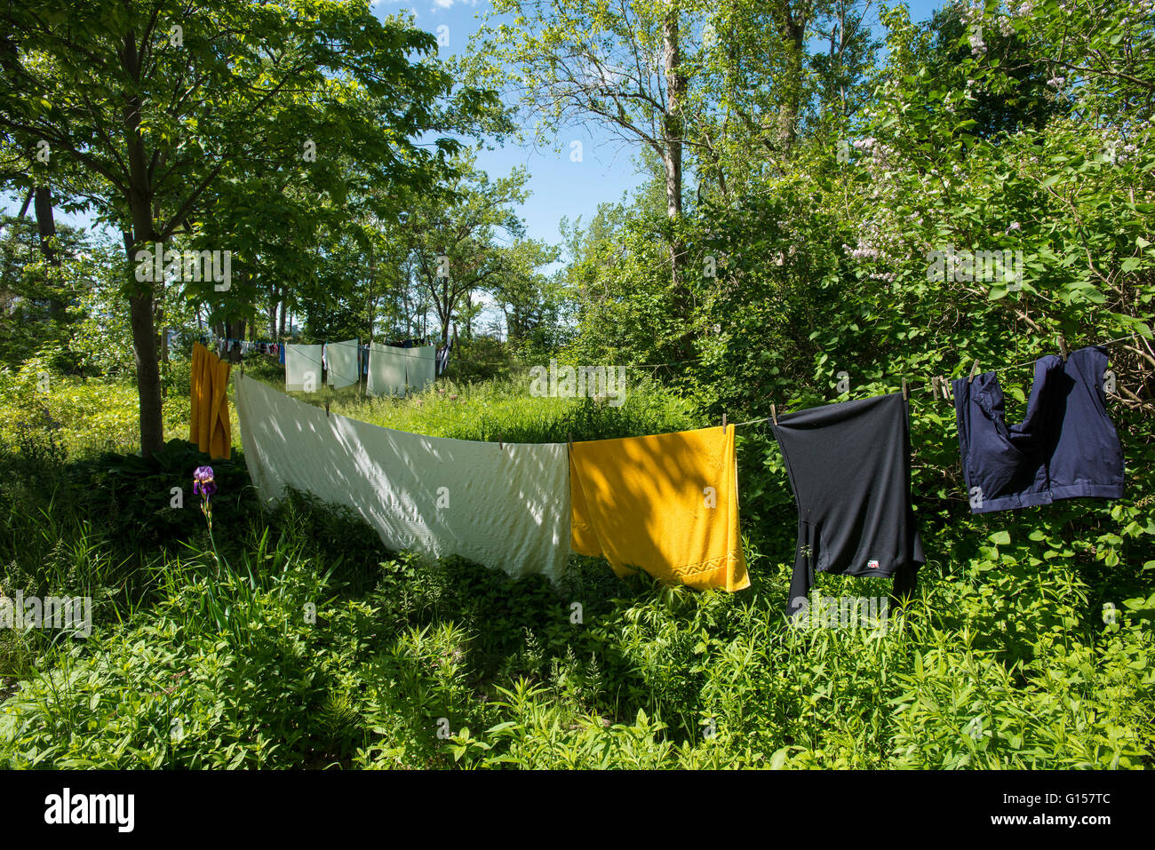 Servizio lavanderia Asciuga sulla linea, Ward's Island, Toronto Island Park, Toronto, Ontario, Canada. Foto Stock