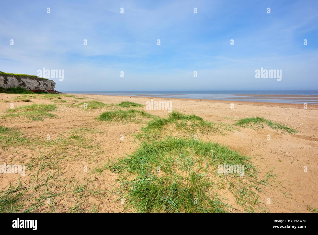 Grassy dune di sabbia sul vecchio Hunstanton Beach, Norfolk, Inghilterra, Regno Unito Foto Stock