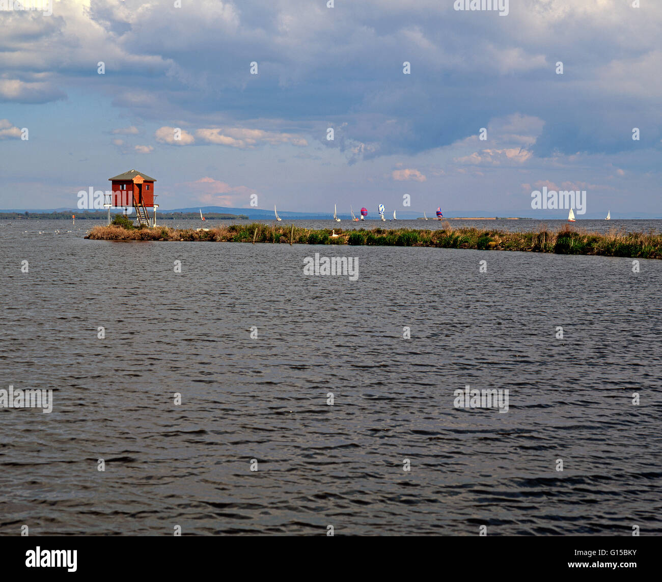 Oxford Island Bird osservatorio sul Lough Neagh, il più grande lago frehwater nelle isole britanniche e anche una riserva naturale nazionale, N Foto Stock