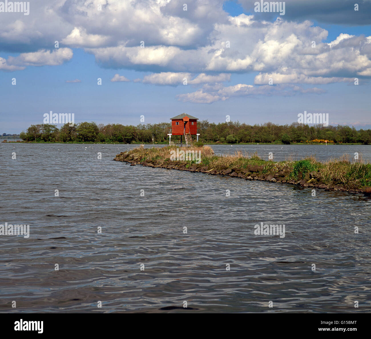 Oxford Island Bird osservatorio sul Lough Neagh, il più grande lago frehwater nelle isole britanniche e anche una riserva naturale nazionale, N Foto Stock
