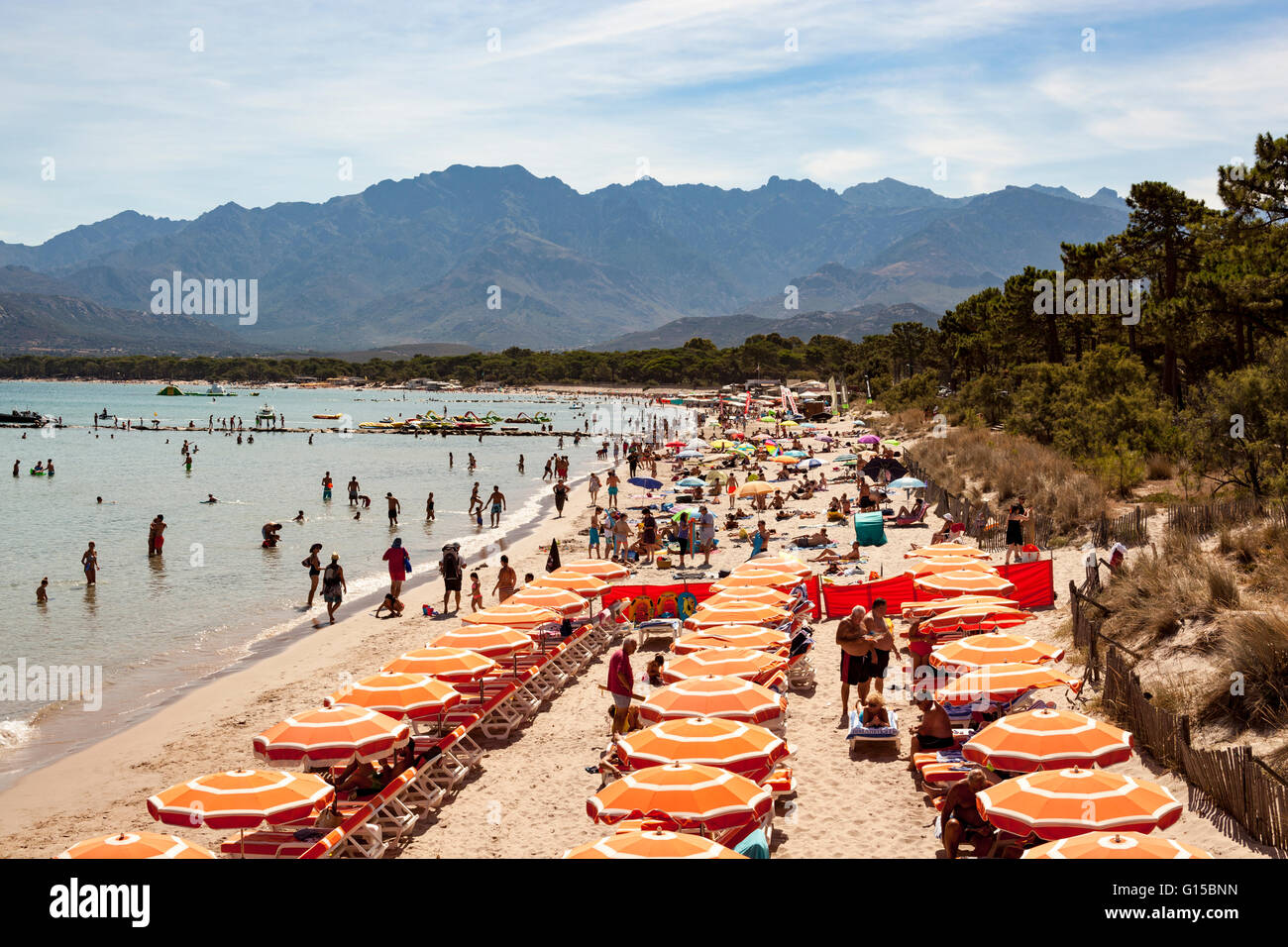 Vista della spiaggia, Calvi, Haute-Corse, Corsica, Francia Foto Stock