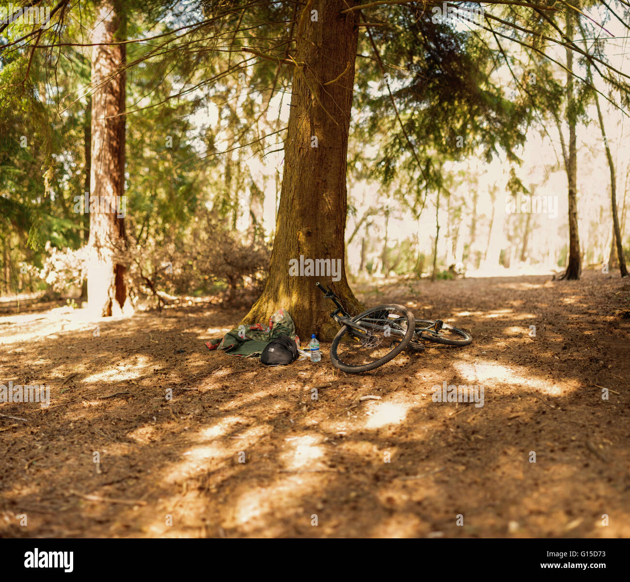 Bicicletta abbandonato nella foresta Foto Stock