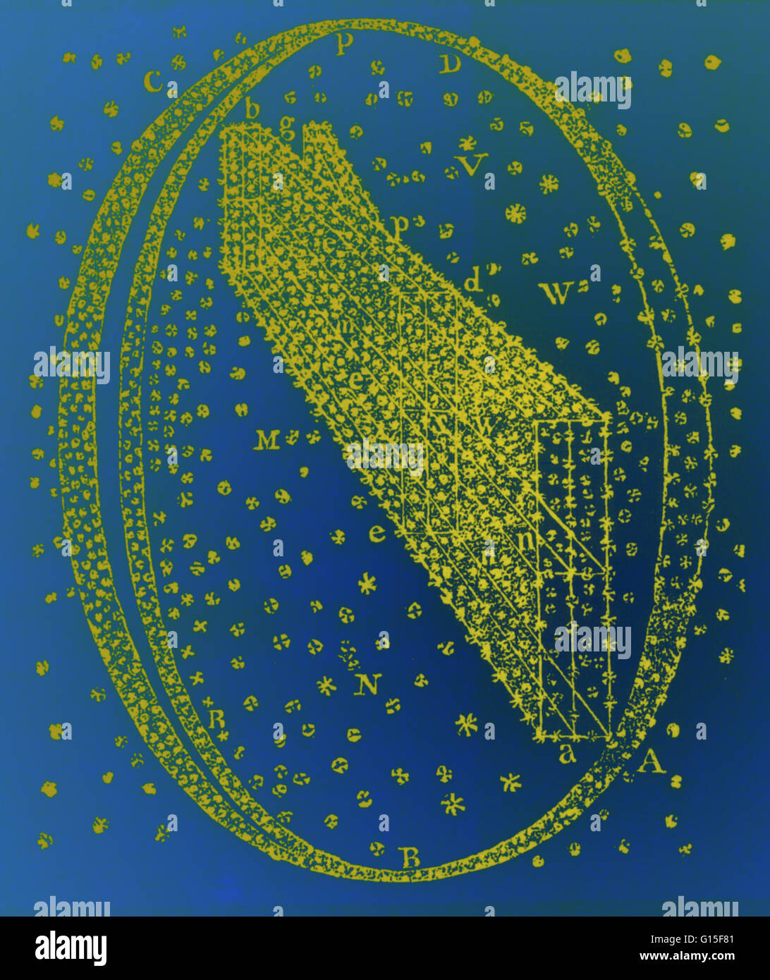 Herschel modello galattico, 1784. Questa è una delle numerose visualizzazioni disegnato dall'astronomo britannico William Herschel (1738-1822). Lavorando con sua sorella Caroline, Herschel tracciata la posizione di molti della Via Lattea di stelle, e utilizzate questi dati a c Foto Stock