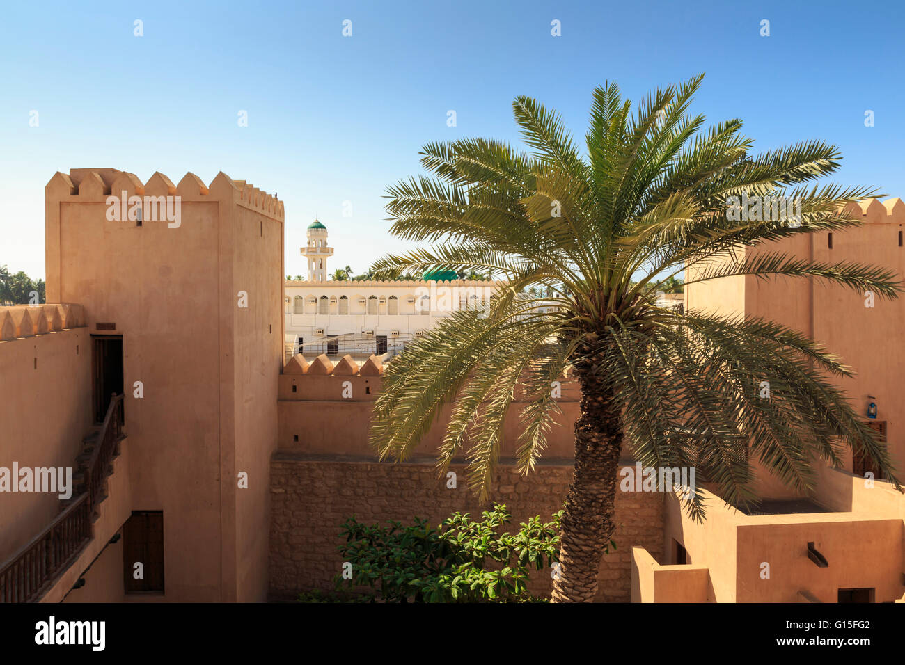 Bastioni, Palm tree e la vista della Moschea, Taqah (Taqa) Castello fort museum, vicino a Salalah, Regione di Dhofar, Southern Oman, Medio Oriente Foto Stock