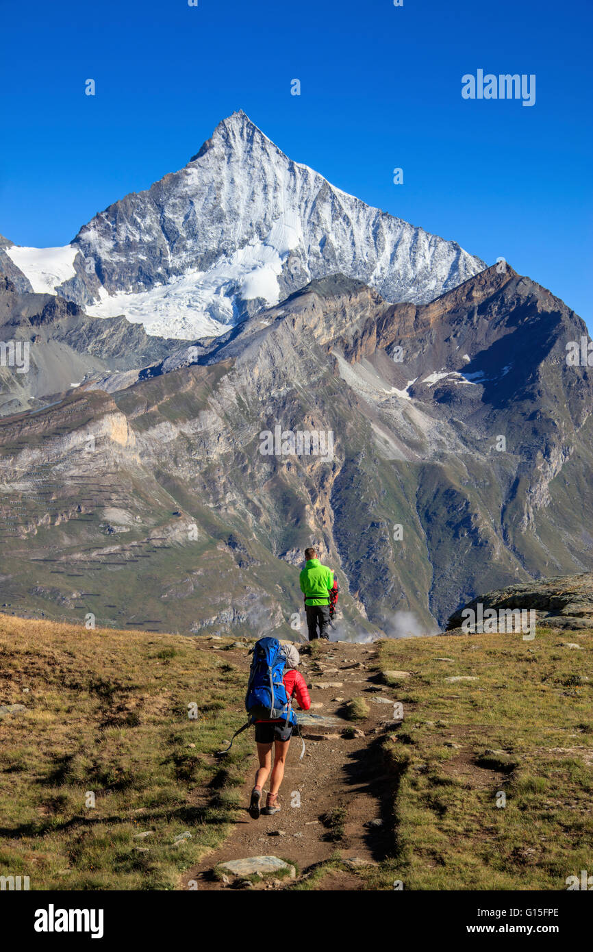 Gli escursionisti procedere verso l'alto picco della Dent Herens in una chiara giornata estiva, Gornergrat, Canton Vallese, alpi svizzere, Svizzera Foto Stock