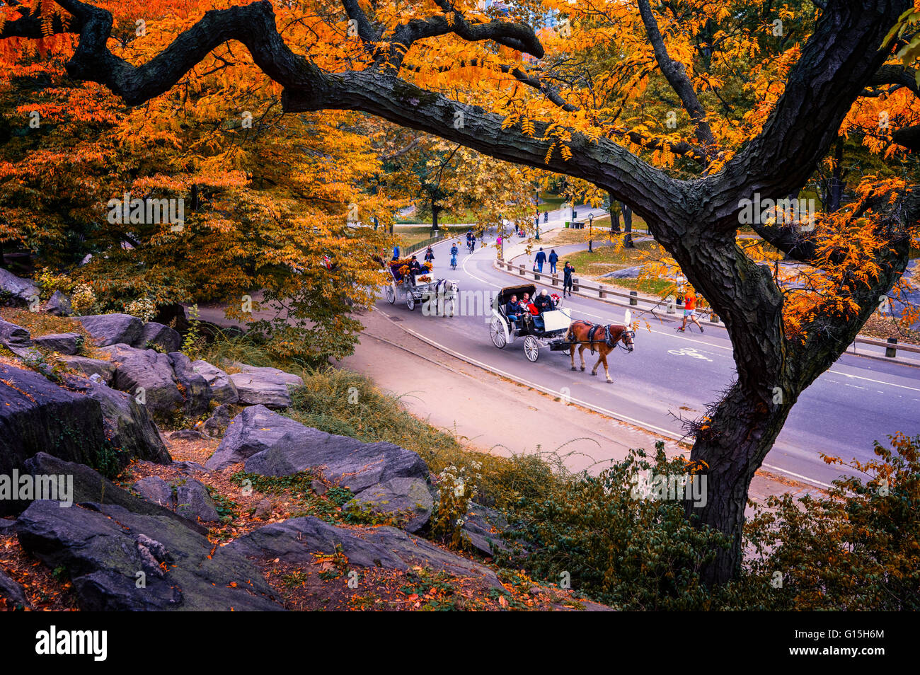 Giro in carrozza, al Central Park di New York City, Stati Uniti d'America, America del Nord Foto Stock
