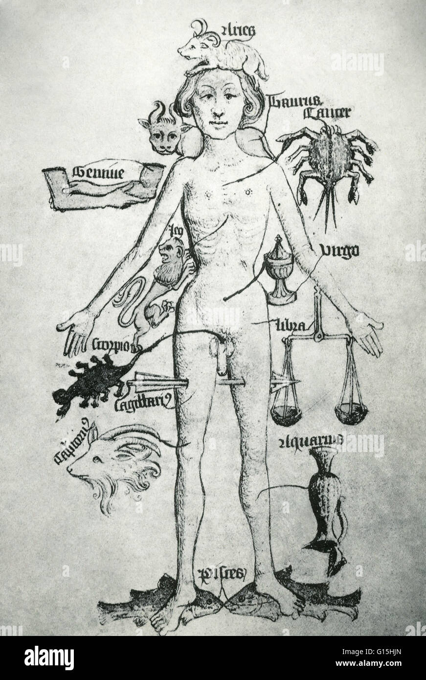 Melothesic figura da 'La Gilda libro del barbiere chirurghi di York', dal XVI secolo. La Melothesia è una disciplina che studia i legami esistenti tra i segni dello zodiaco e i pianeti e il sole, la luna e il corpo umano. Il zod Foto Stock
