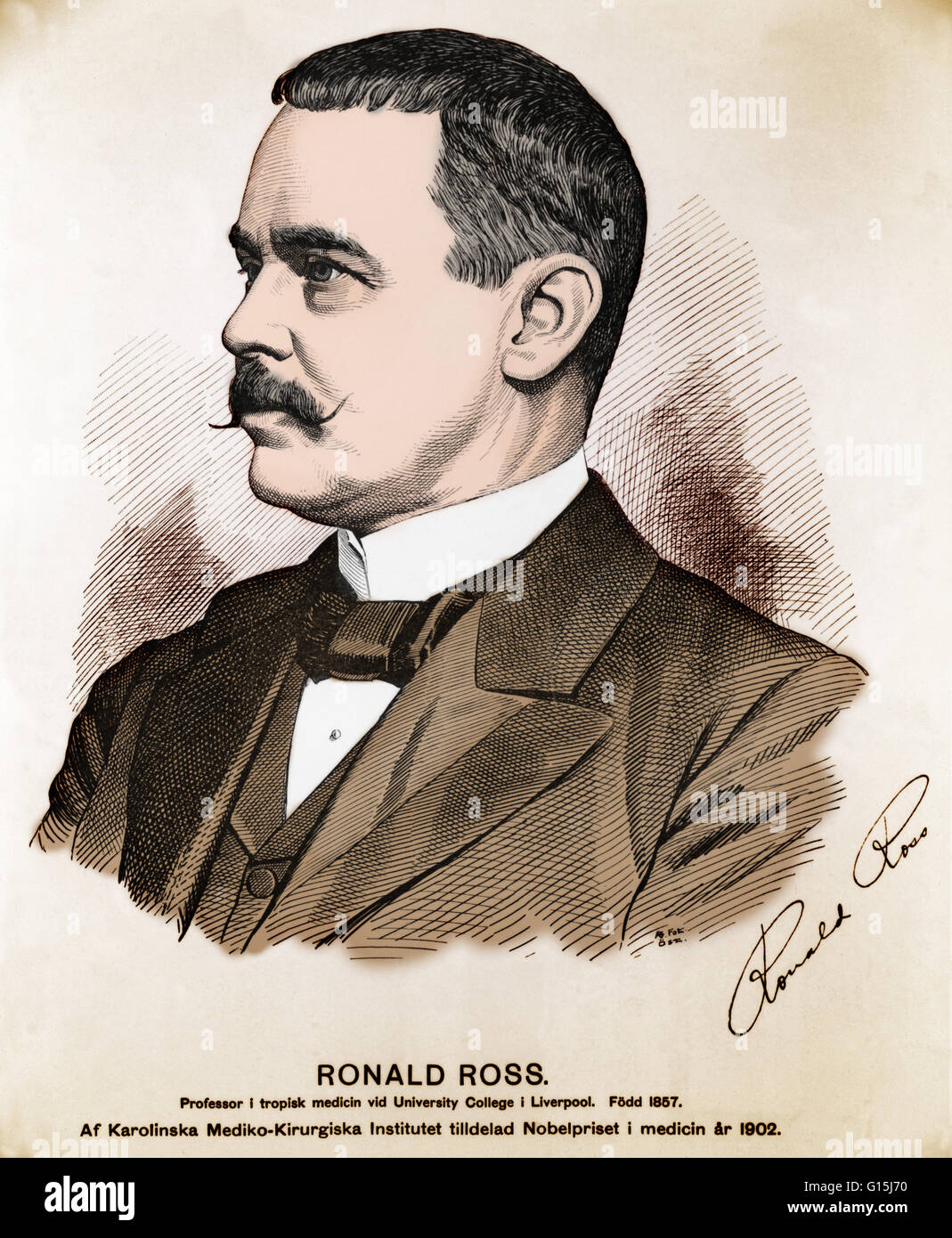Ronald Ross (13 maggio 1857 - 16 settembre 1932) era un medico britannico. Egli è nato in India dove il nonno di contratto la malaria e ha giurato in età precoce per trovare una cura. All'età di otto anni egli fu inviato in Inghilterra per la sua educazione. Egli ha iniziato a stu Foto Stock