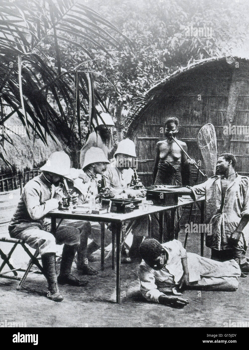 In Africa Robert Koch, terzo seduti da sinistra, preso il sangue dall'uomo (reclinabili infettate dalla mosca tsetse) nel tentativo di isolare il microbo che ha causato la malattia del sonno. Koch (1843-1910), un scienziato tedesco è stato uno dei due fondatori (con servosterzo Foto Stock