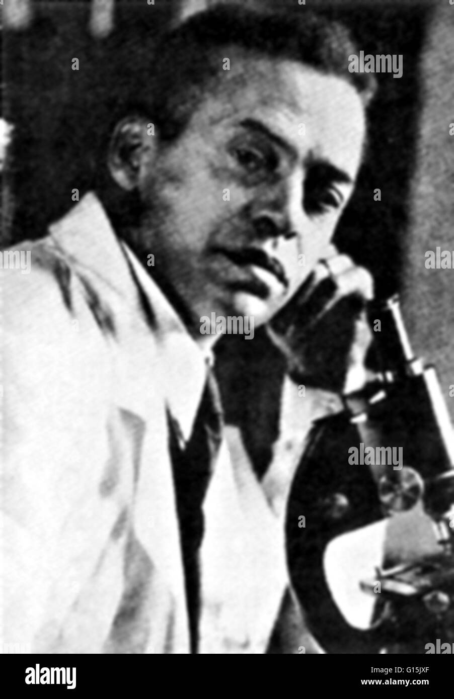 Ernest Everett appena(1883-1941) è stato un pioniere americano africano biologo, accademica e la scienza scrittore. Solo primario dell'eredità è il suo riconoscimento del ruolo fondamentale della superficie cellulare nello sviluppo di organismi. Nel suo lavoro all'interno di marine biolog Foto Stock