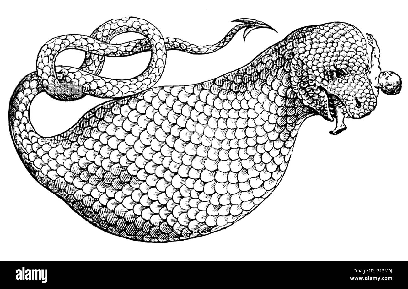 Xilografia presi dalla storia di Four-Footed bestie e serpenti (1658) da Conrad Gessner. Mostra mammiferi e rettili, sia reale e fantastico, in xilografie dettagliata. Il Boas era una creatura descritta in Plinio il Vecchio la Historia Naturalis in 77AD. Ho Foto Stock