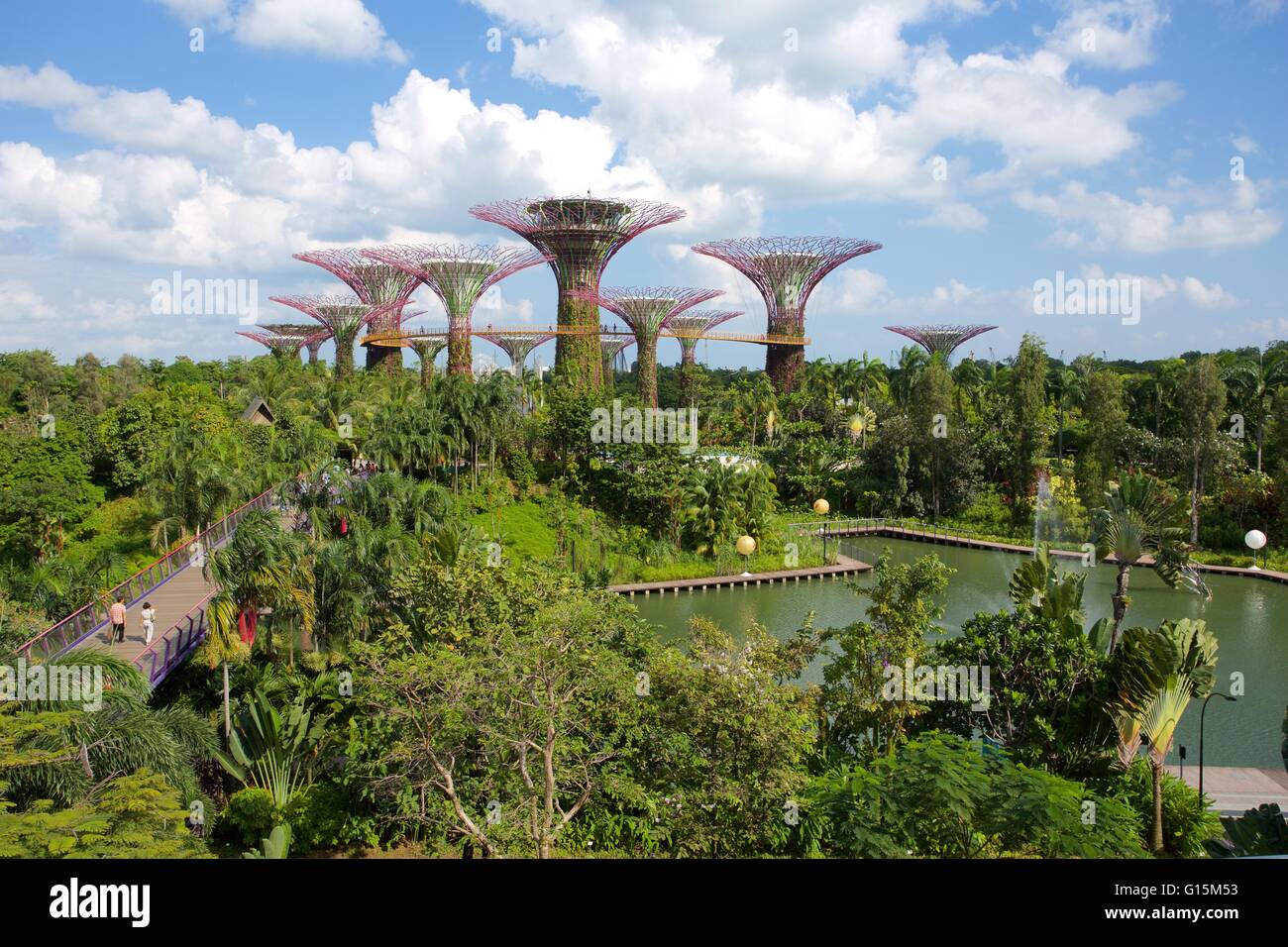 Giardini dalla baia, Singapore, Sud-est asiatico Foto Stock