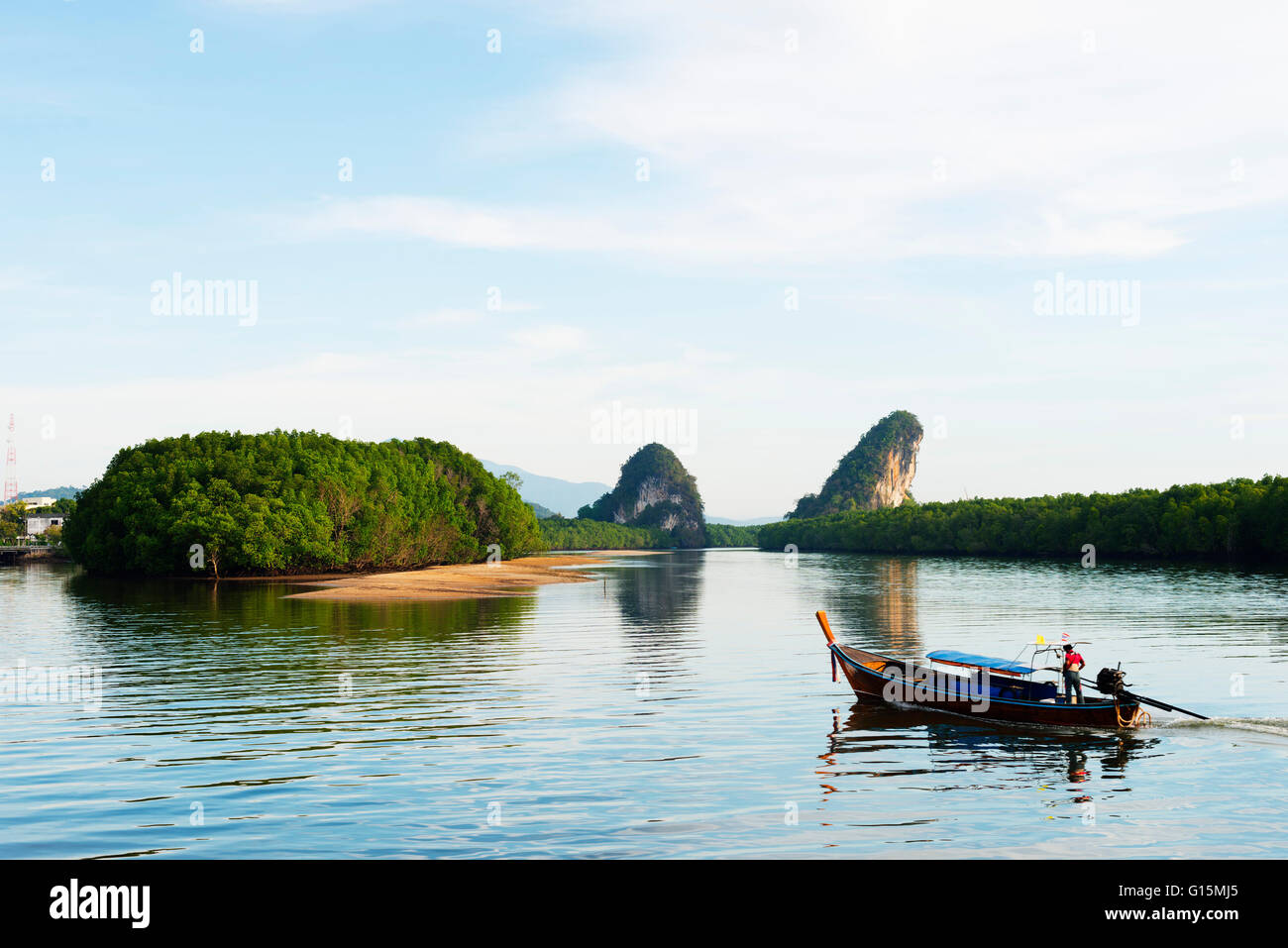 La foresta di mangrovie su Krabi estuario, Krabi, Thailandia, Sud-est asiatico, in Asia Foto Stock