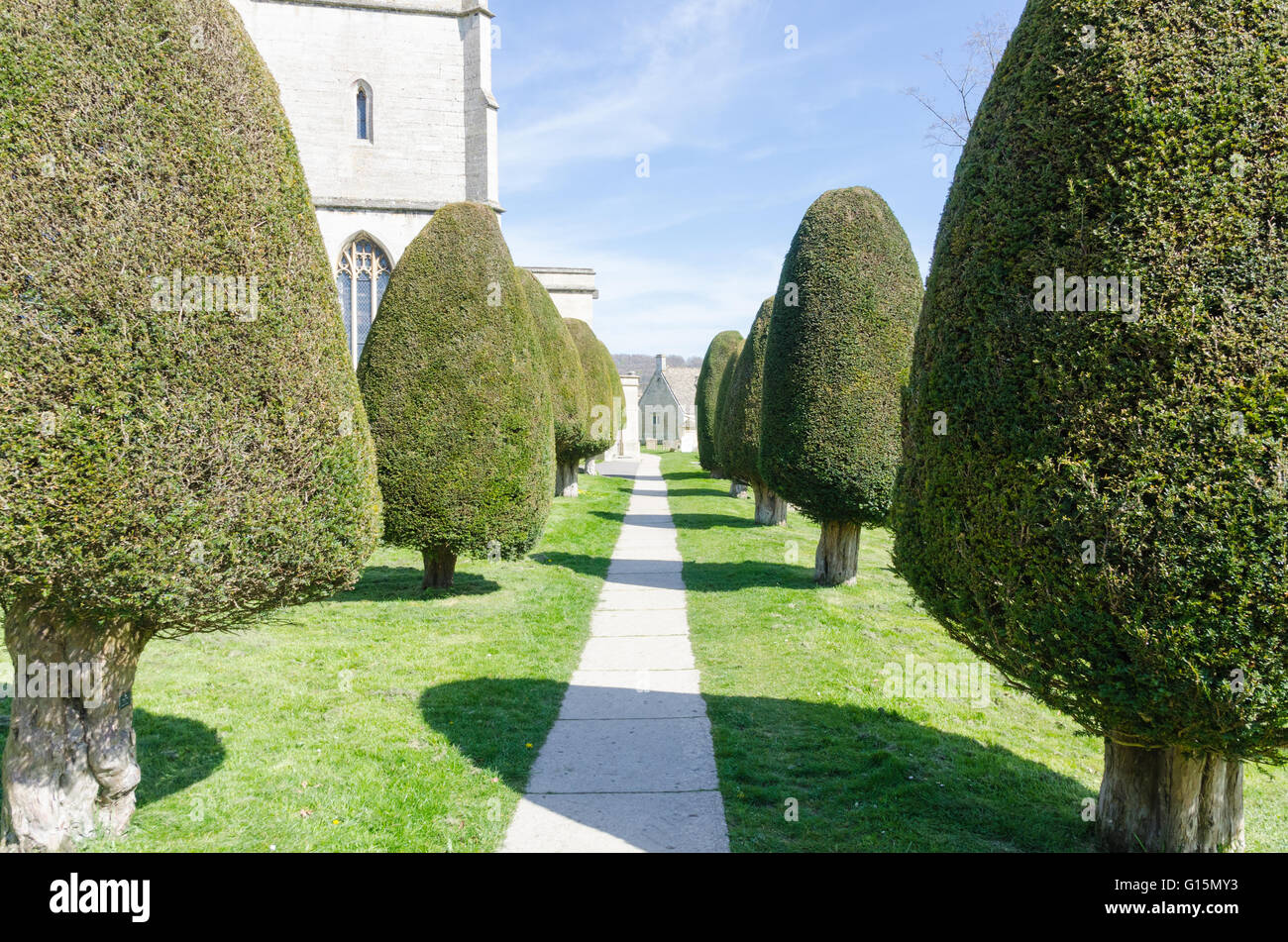 Chiesa Parrocchiale di Santa Maria, Painswick circondato dai suoi famosi Yew alberi Foto Stock