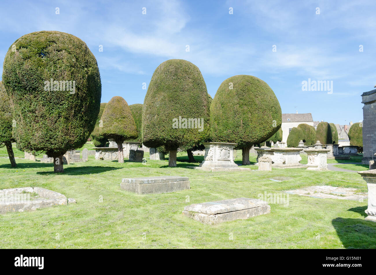 Chiesa Parrocchiale di Santa Maria, Painswick circondato dai suoi famosi Yew alberi Foto Stock