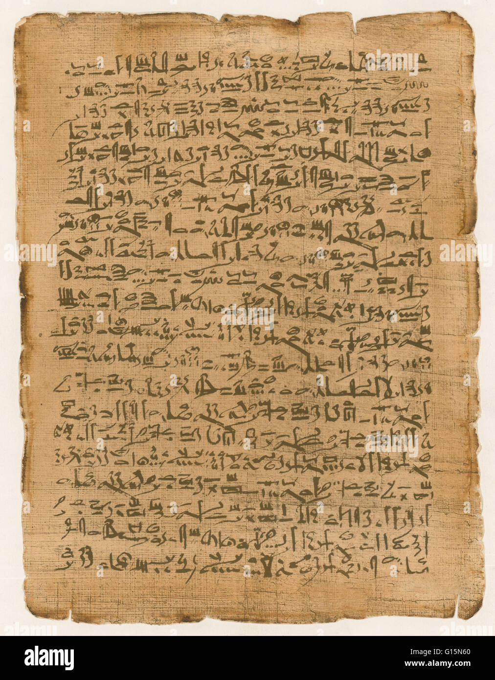 Il papiro è uno spessore di materiale cartaceo prodotta dal midollo della pianta di papiro, cyperus papyrus, una zona umida carici che una volta era abbondante nel Delta del Nilo d'Egitto. Il papiro è prima di tutto noto che sono stati usati nell'antico Egitto, ma è stato anche utilizzato attraverso Foto Stock