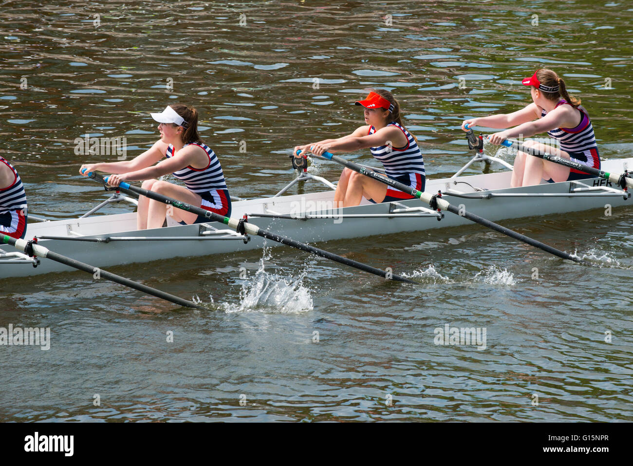 I rematori di competere a Shrewsbury regata sul fiume Severn, Shropshire, Inghilterra, Regno Unito. Foto Stock